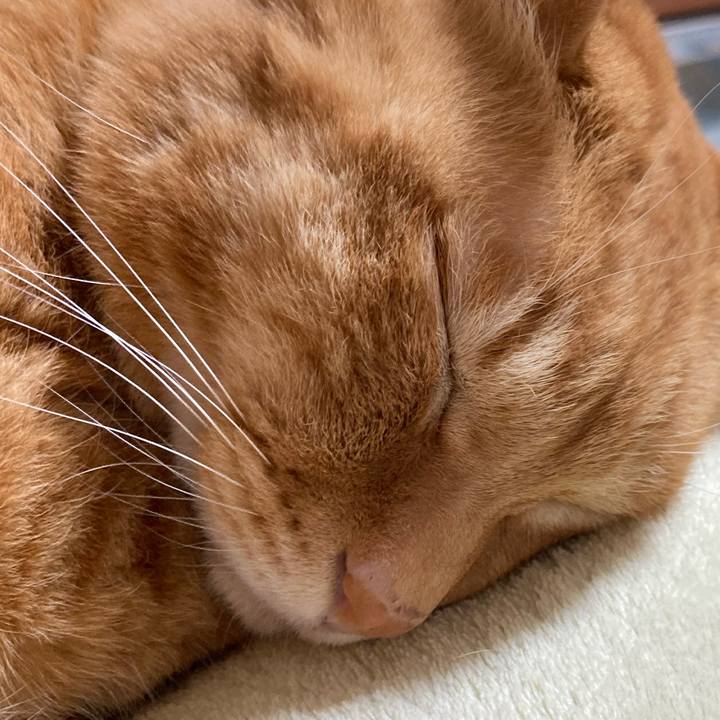 Dfd673f0 a256 4795 a404 397635c525f1 1774083046480