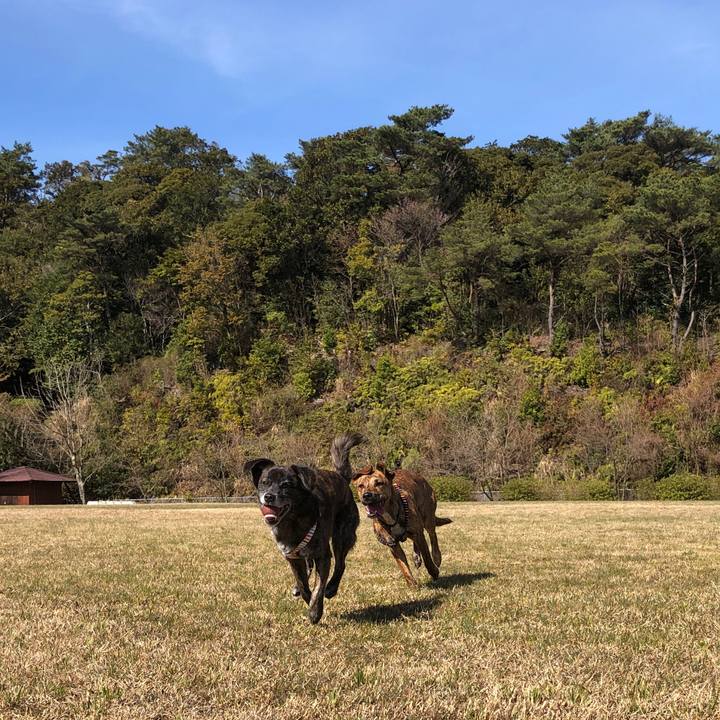 Dfd67553 e4de 411d b2fa d02fe1a925c6 1584009899576