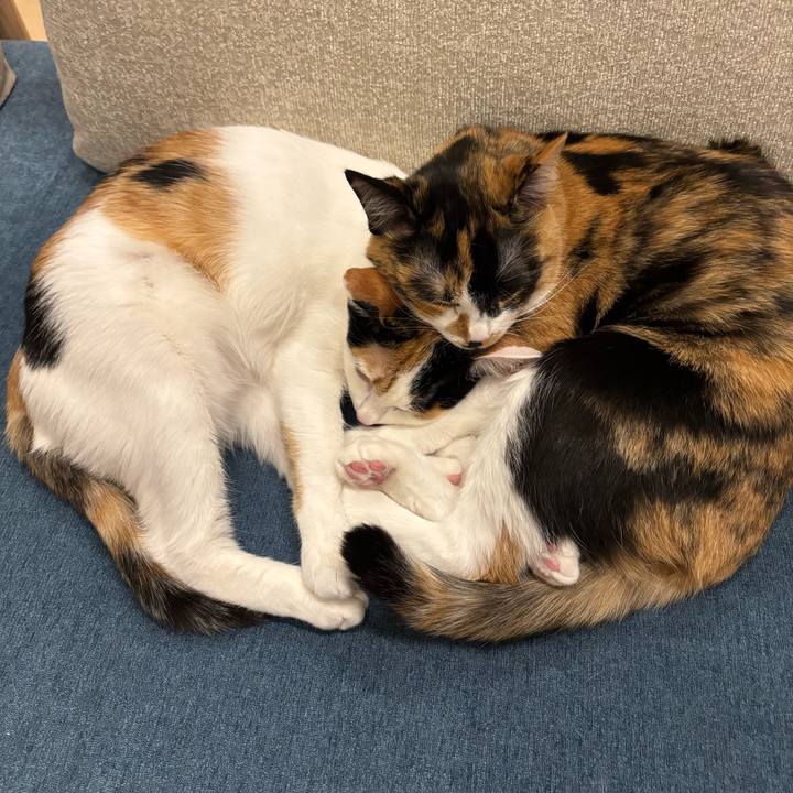 Dfd6923f 024d 42f8 9606 3ce4eefafac9 1773658840936