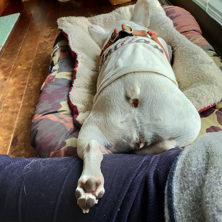 Dfd6931c 4581 4b93 a3d0 afba6702fd78 1637544908896