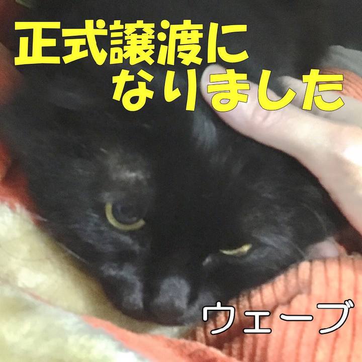 Dfd6cfaa 6a3f 4aba b8c5 f752650b3ddb 1553578419612