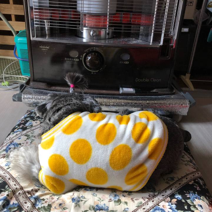 Dfd6d8e8 a91e 4759 9773 415e26db6ca9 1645860235314