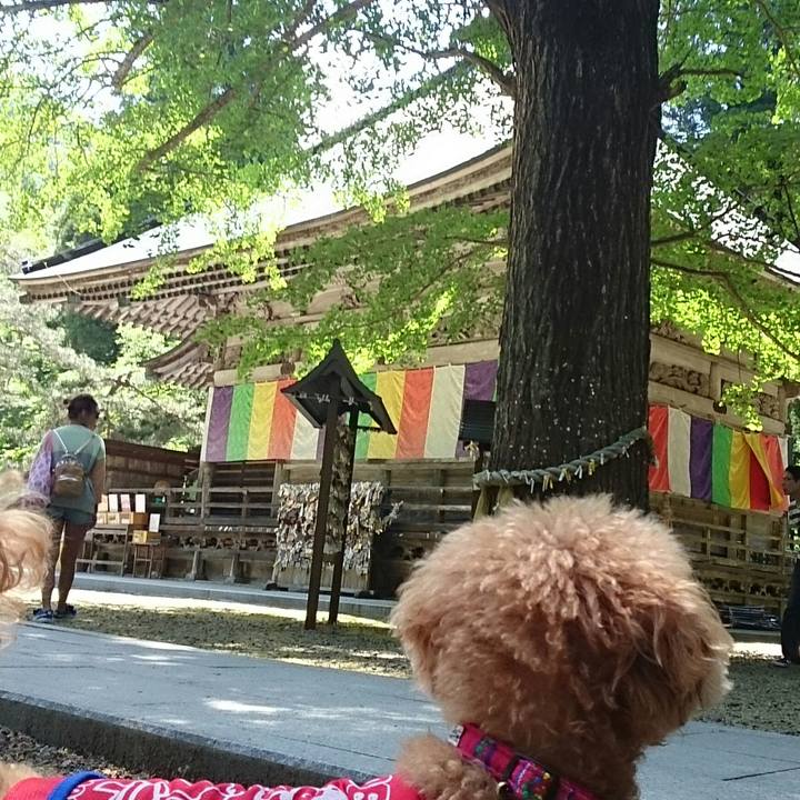 Dfd71864 3ab5 4d45 af7d 827ebeaa1d8b 1527911331436