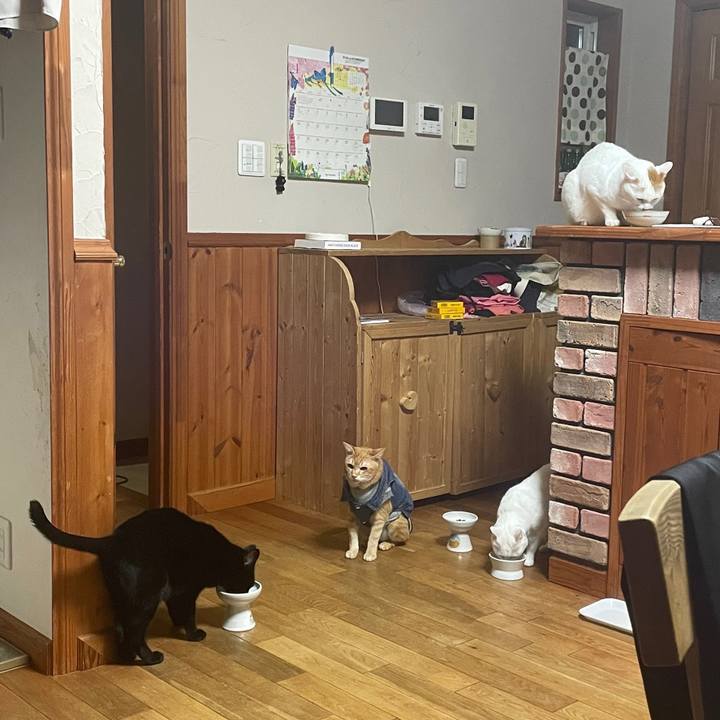 Dfd71c26 9647 4fa0 8674 c4e6eaeb3d4b 1649389413353