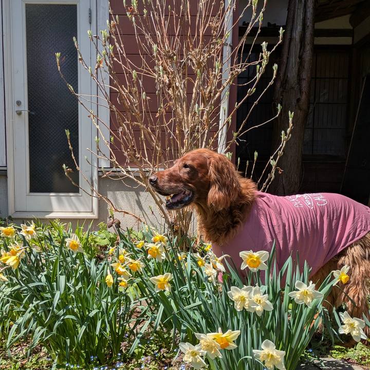 Dfd75109 4efc 42df a629 3610452e9cb5 1776048629569