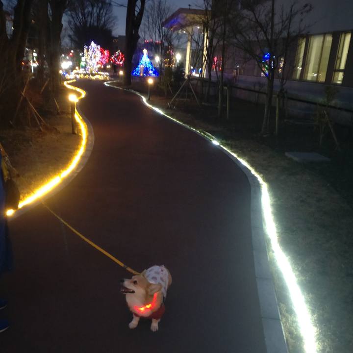 Dfd7db5e 1dd2 4a96 840b f6c2deaaca1e 1672315553184