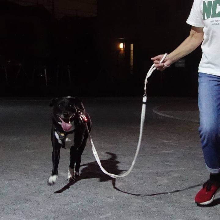 Dfd81c0b 018f 410f 9a99 6c607020306e 1664362903390