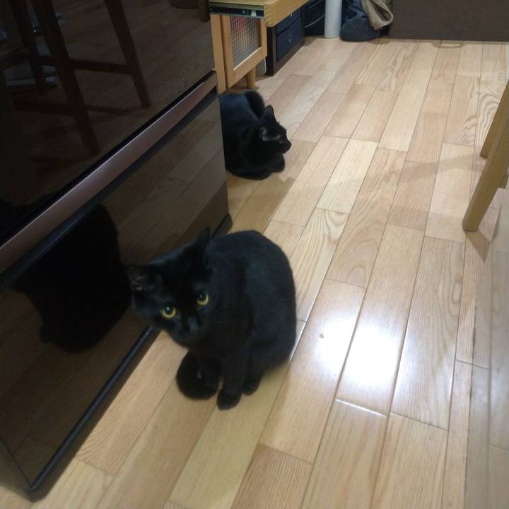 Dfd825ab 086b 4b02 978f 0639ff63d4bd 1556061779128