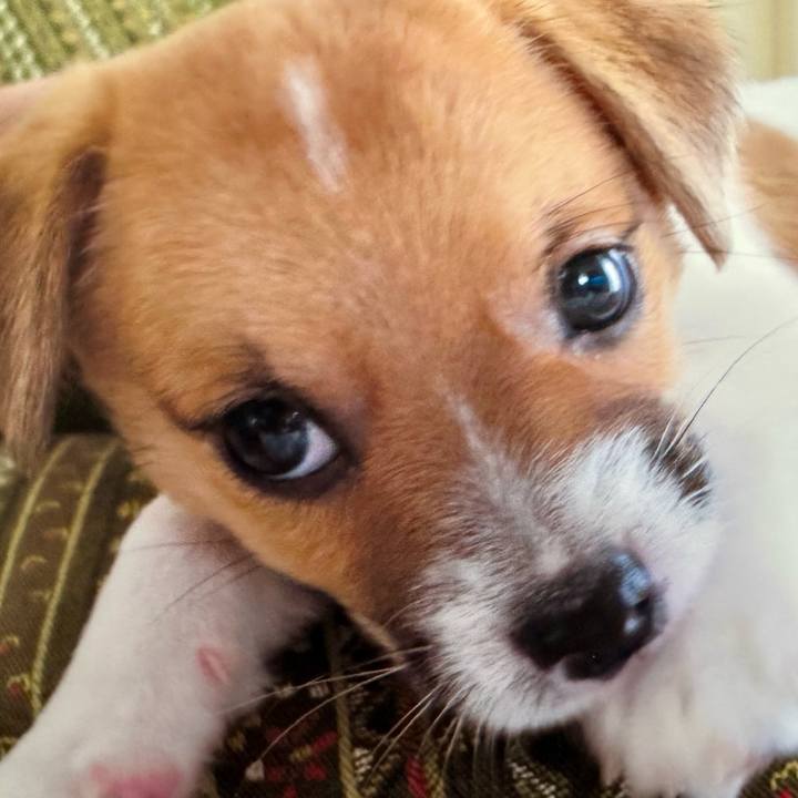 Dfd829e8 949c 4f34 997b b7eae5f634ce 1714438829711