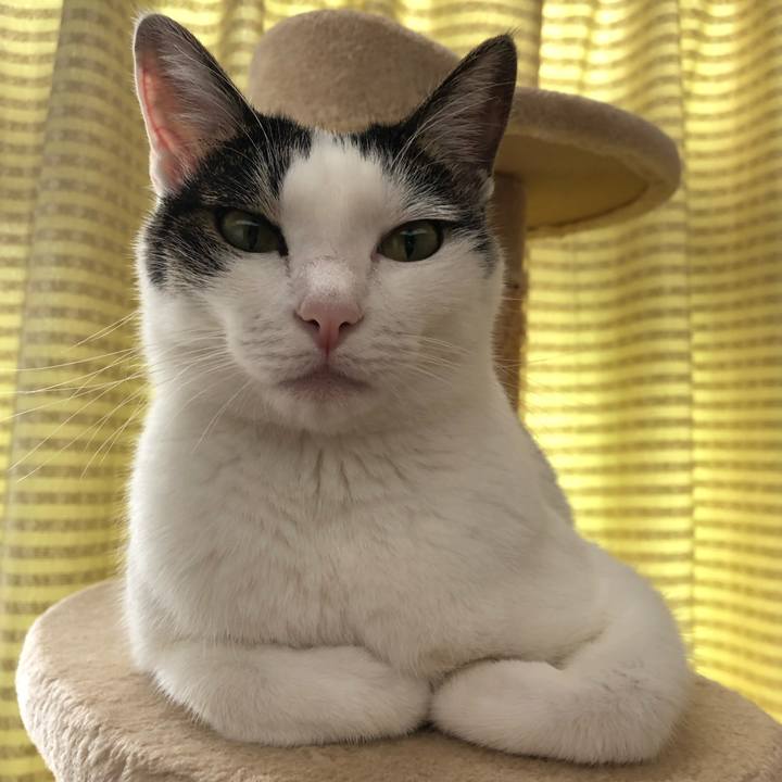 Dfd83922 1472 4651 a428 0e4e926fb961 1696034162728