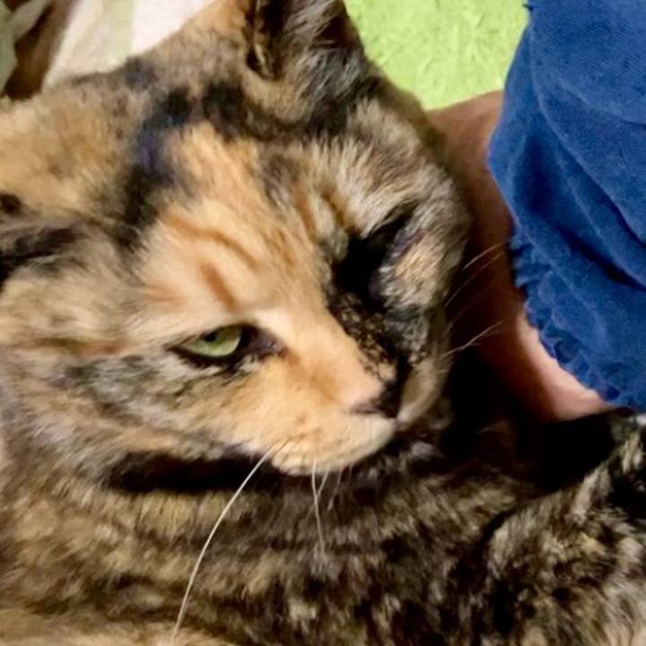 Dfd83f4e c99c 4820 a966 df4113cc4e40 1742591370973