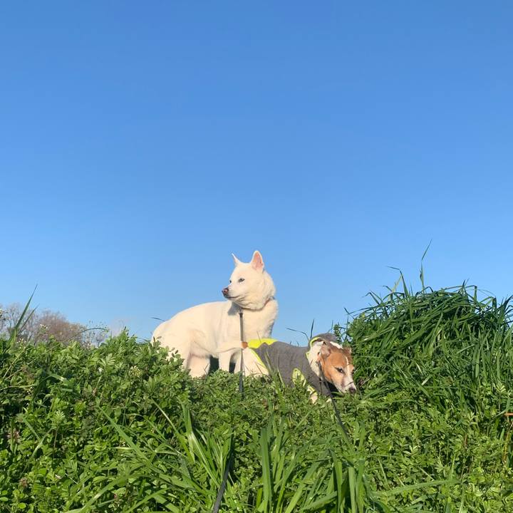 Dfd86bdf d589 4b7c 9f76 012157bfa489 1552088343585