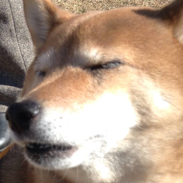 Dfd8a084 4bff 42ba 8ca4 51b88619cec4 1517804417183