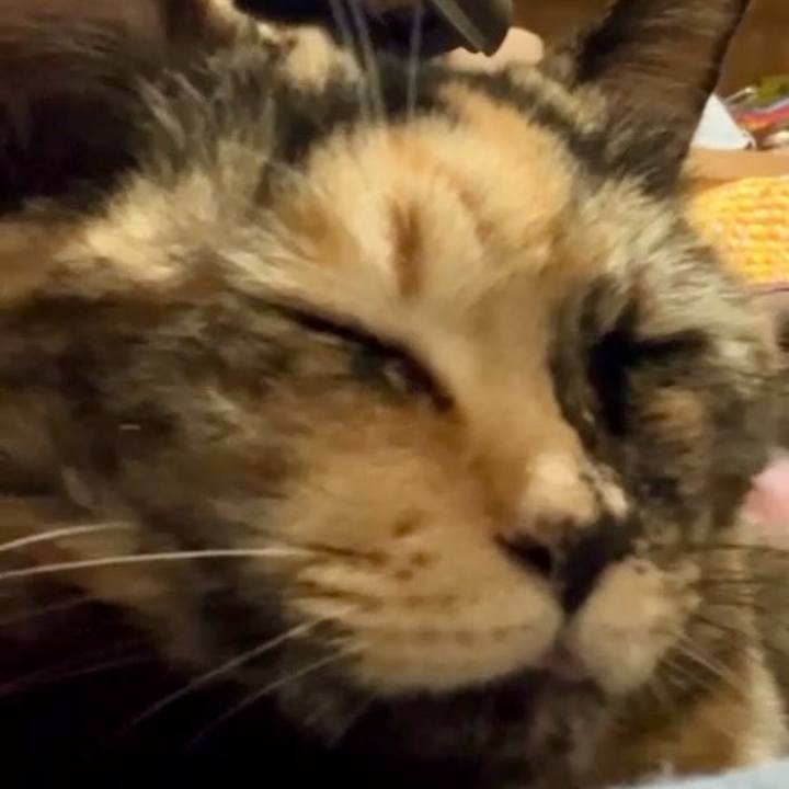 Dfd8a5b1 4142 41ba a356 ff18ea8c2525 1738402296475