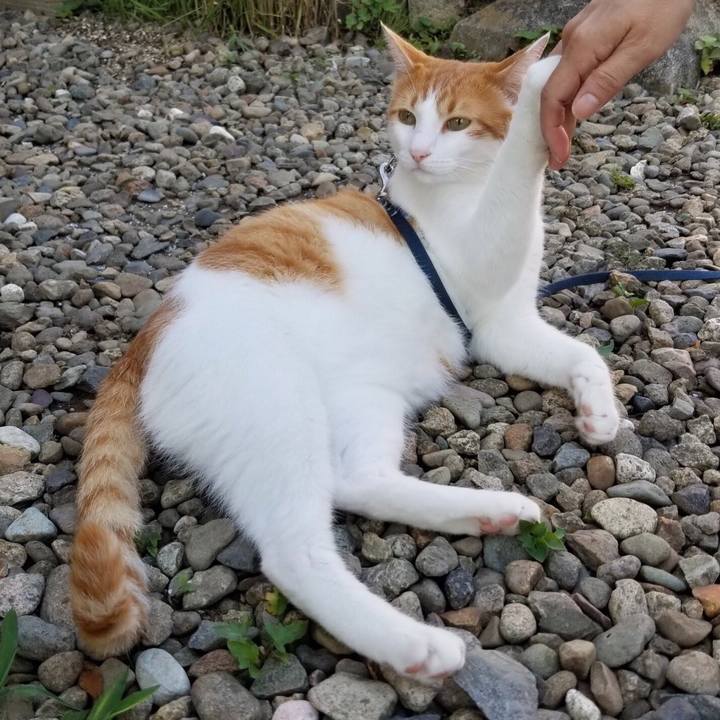 Dfd8c66d df70 480b b178 5ae5250a269a 1538229061502