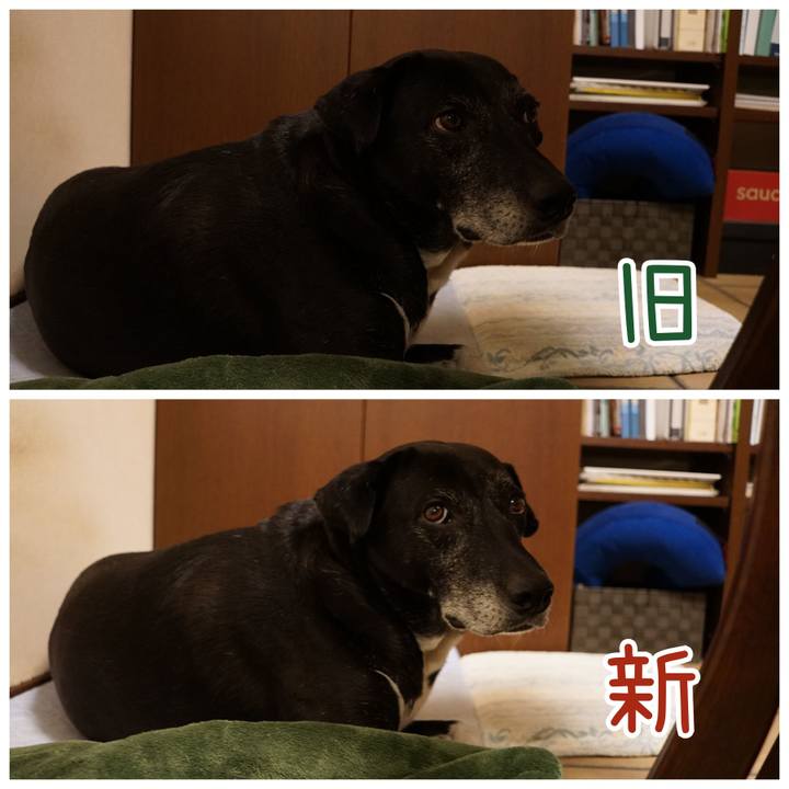 Dfd8f31e 2273 4579 ae26 1958d4b9f2f3 1756856941594