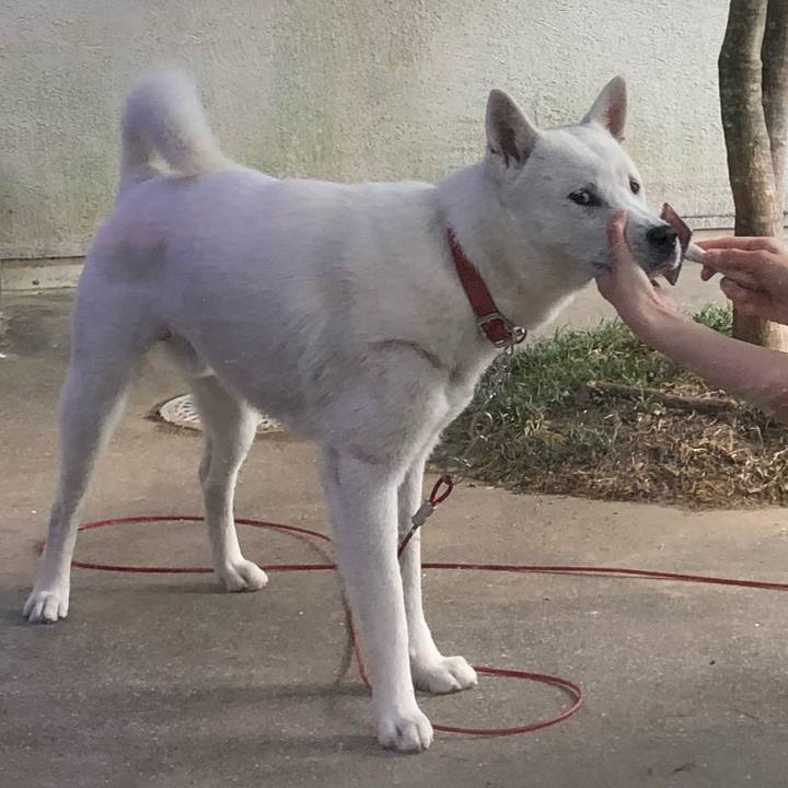 Dfd92139 245f 4d3c a342 b69bc5af2a81 1526862393490