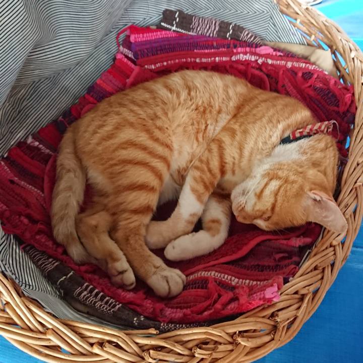 Dfd92406 48f5 4721 a83a ad5c9831ace8 1563676360122