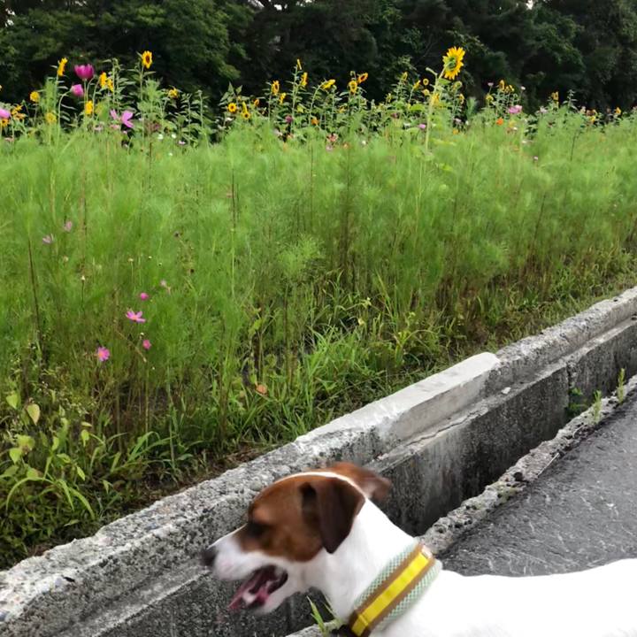 Dfd95380 f629 47d3 8c8d 829f44582799 1533296425054