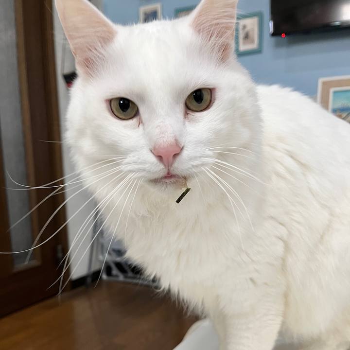 Dfd96dde ea08 413f a477 8cf229a444de 1764164779851