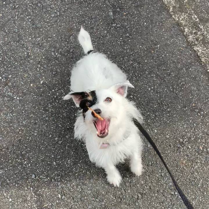 Dfd9925b 2bd9 49a3 b4df 3380390efd3e 1661209903292