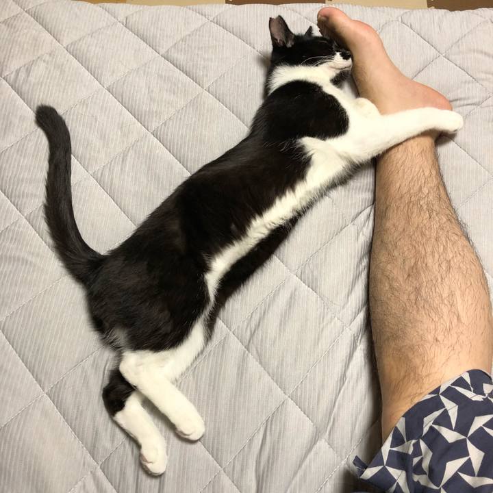 Dfd9ae08 534e 4370 9c69 922ef518983a 1535057941346