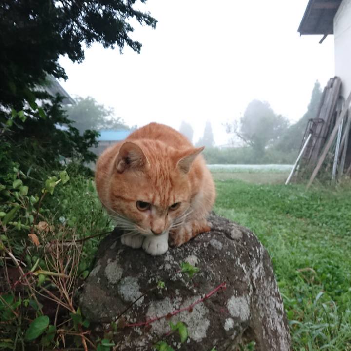 Dfd9e062 76b0 4004 a0a4 758c50768415 1569531721137