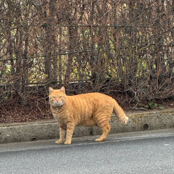 Dfda72ad d752 4b3b aa88 2da7cfb46789 1762827868884