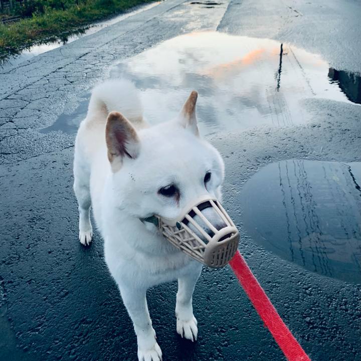 Dfda7359 c3ed 4258 858a 4bc423ca3303 1603575401494