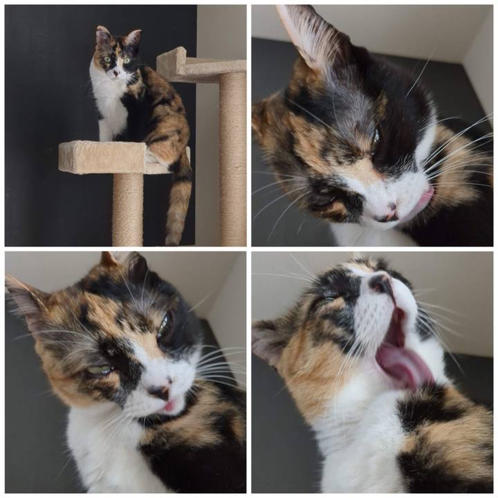 Dfda7ee2 2b20 45df a70c 8dd8551eec92 1682146067651