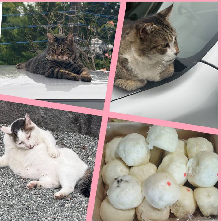 Dfda8f5d 540f 456f 8ea7 30f5848b96b8 1758179836998