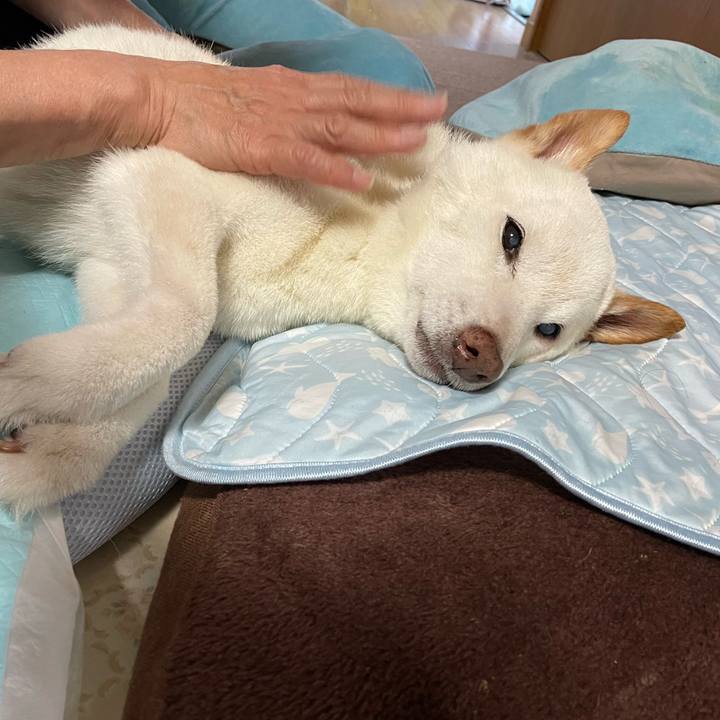 Dfdabdde 5889 4b0a bd7e fd8d097f67a8 1662540308355