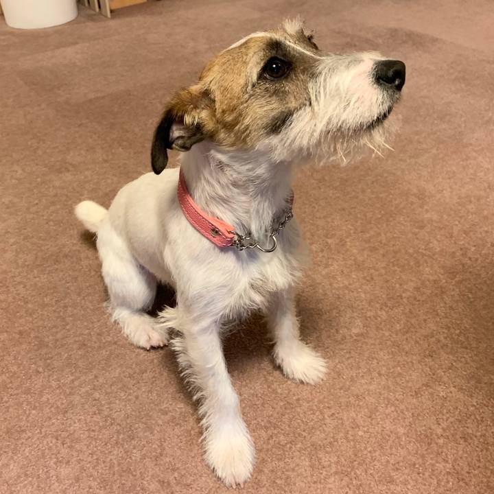 Dfdad7d8 0efc 4dd8 8f42 f4f561914168 1582540556376