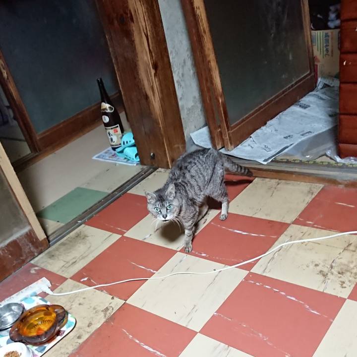 Dfdadffb 476d 4bb7 95c6 a31025c4057e 1596831005991