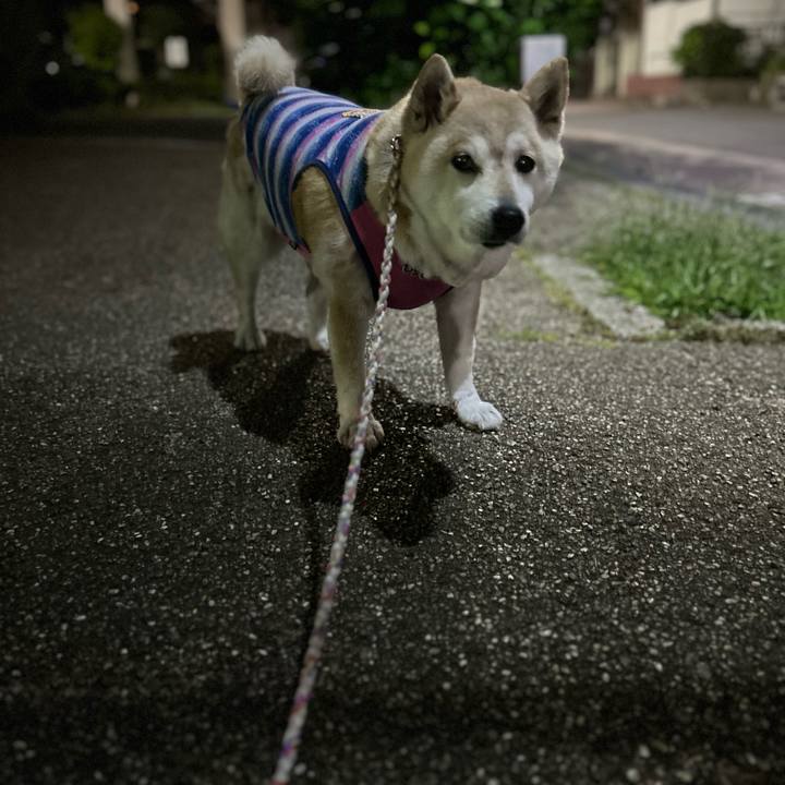 Dfdb2a01 0d63 4a15 a0bb 22720e2a96e6 1748526621878