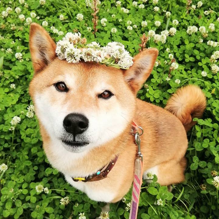 Dfdb2af3 56d8 4da9 8058 bb57ecaefe03 1621060755579