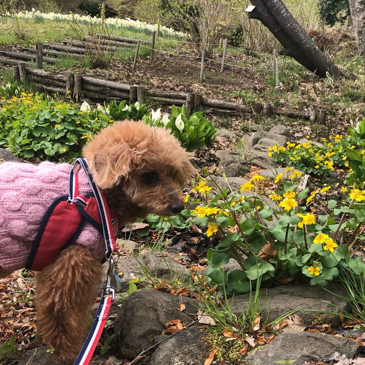 Dfdb2d0a d608 464c 917e 6d4ccd35be2e 1618283285398