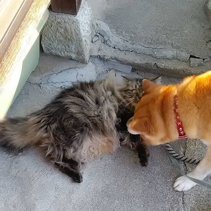 Dfdb4269 193d 434b 83c2 8ce5269fd879 1651706835736