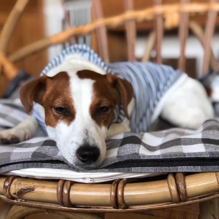 Dfdb5630 3192 4a48 8f9b c0847befa693 1559641434457