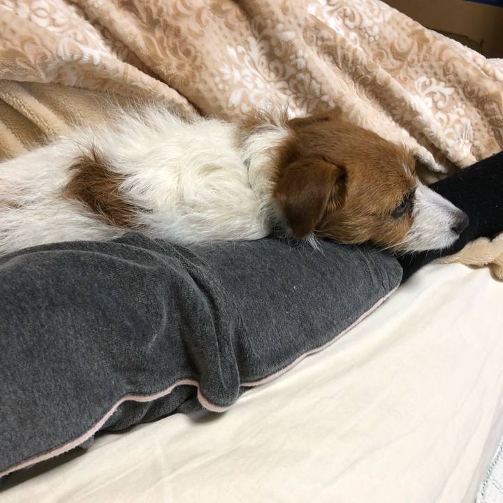 Dfdb921c d115 486a aeca 09461cfe2801 1515914687982