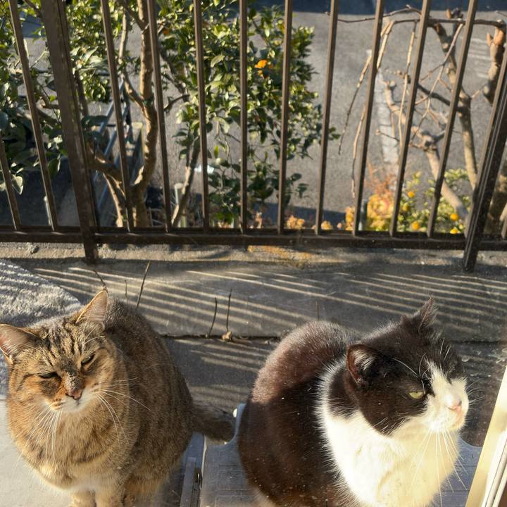 Dfdbc0e0 f66d 4caf b3f8 7fd12ac7d2f2 1771660316463