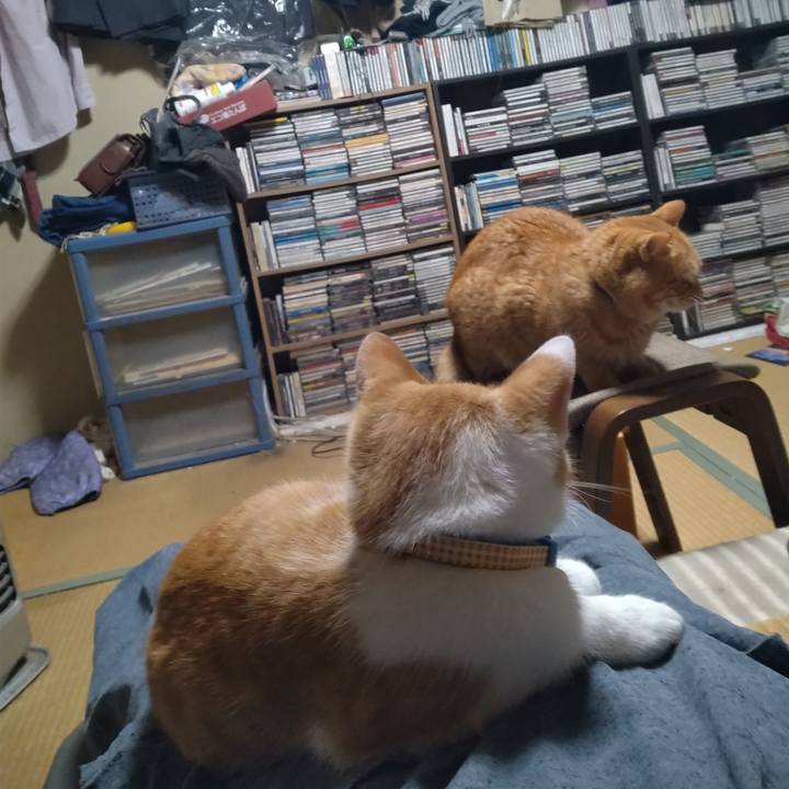 Dfdbc33e 0877 4244 b151 f67bcce18d23 1733140086564