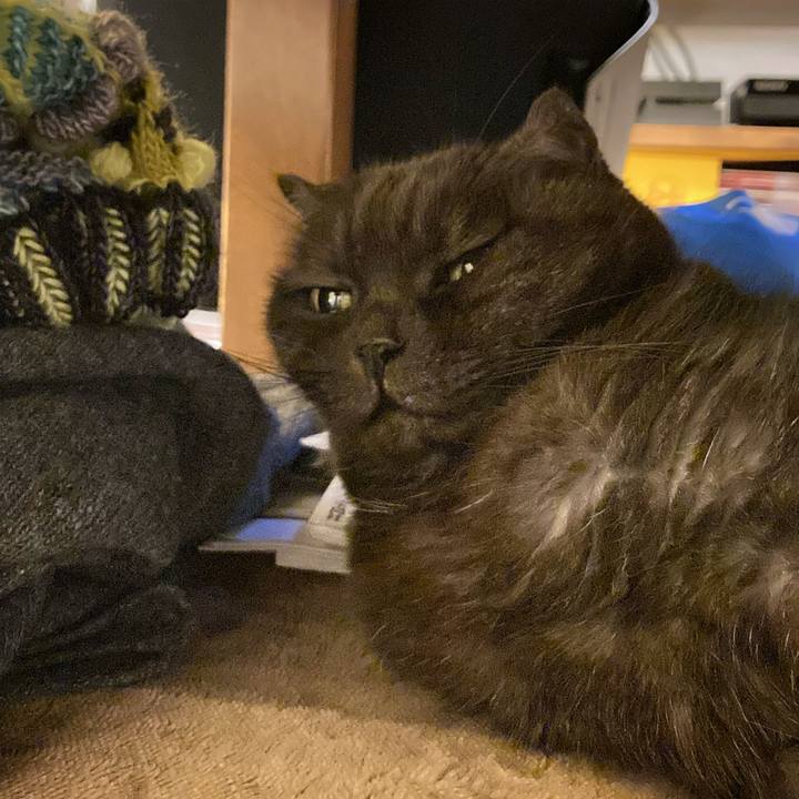 Dfdbca9b dbfa 4208 8f69 428061313f1b 1637051432099