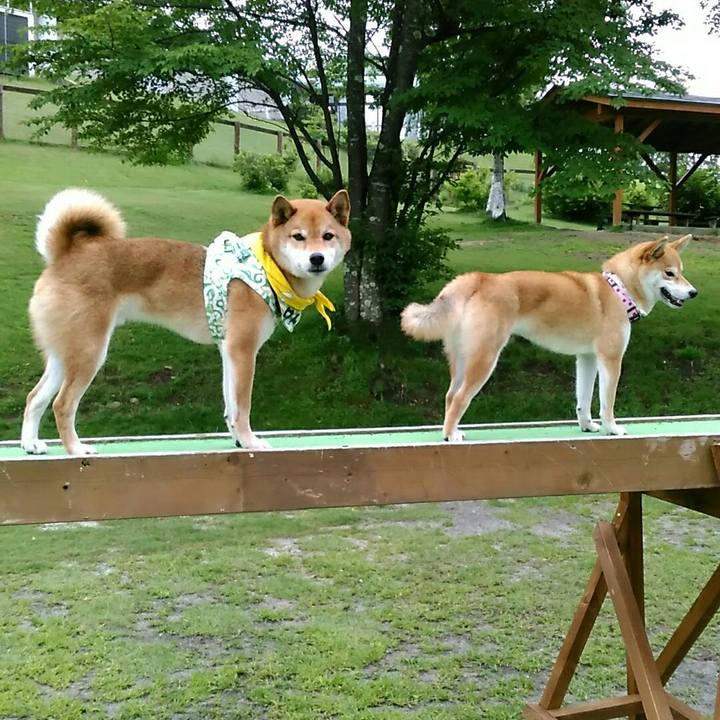 Dfdbd7cb 2c7d 45c8 b438 3ca56d88603e 1562418195112