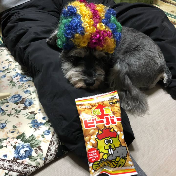 Dfdbeab9 8e01 47bc 810c 14b4a42202bf 1643889351834