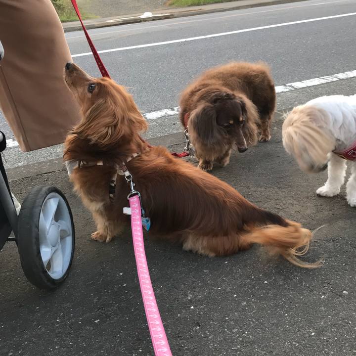 Dfdbf03c 1334 4850 98ac ddfa8ec05681 1540883519817