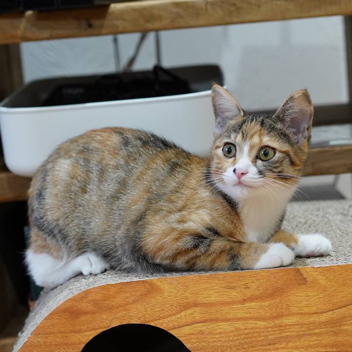 Dfdc18d9 4ae3 496b 8c54 698aeb736107 1573468745239