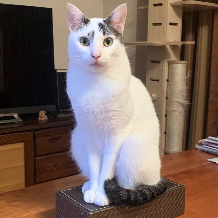 Dfdc9374 e09f 4e86 b949 fff9f1d2f8ce 1645502595152