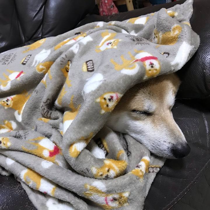 Dfdca9a5 ee85 4062 af2d 3e86aee974d6 1540853718484