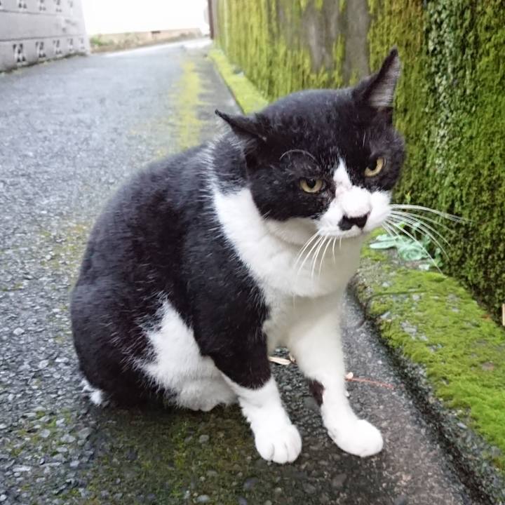 Dfdcb481 7401 41cc ac83 e6152b955dee 1599385593801